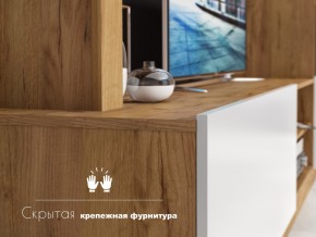 Гостиная Флекс в Троицке - troick.mebel74.com | фото 4