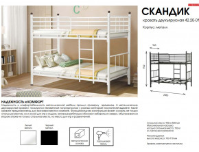 Кровать двухъярусная Скандик 42.20-01 в Троицке - troick.mebel74.com | фото 2