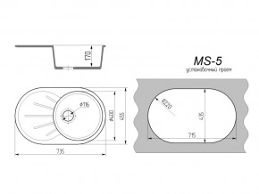 Кухонная мойка MS-5 в Троицке - troick.mebel74.com | фото 2