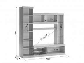 Мини-стенка Макси дуб сонома/белое дерево в Троицке - troick.mebel74.com | фото 4