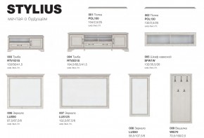 Прихожая модульная Стилиус в Троицке - troick.mebel74.com | фото 6