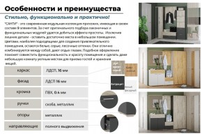 Прихожая Санти Антрацит в Троицке - troick.mebel74.com | фото 5