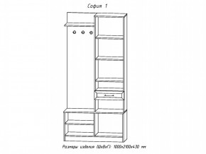 Прихожая София 1 в Троицке - troick.mebel74.com | фото 2