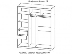 Шкаф-купе Альянс 18 комплект зеркал №4 в Троицке - troick.mebel74.com | фото 2