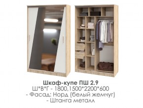 шкаф-купе ПШ-2.9 1500 Норд Белый жемчуг 1500 в Троицке - troick.mebel74.com | фото