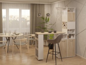 Шкаф перегородка двухсторонний Барс 6-8203 Дуб Сонома в Троицке - troick.mebel74.com | фото 5