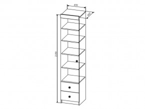 Шкаф Сканди ШД450.1 в Троицке - troick.mebel74.com | фото 2