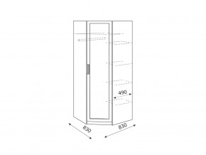 Шкаф угловой Дуглас модуль 1 в Троицке - troick.mebel74.com | фото 2